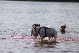 IMG 0397